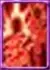 Increase Bleeding Debuff Target Count2
