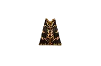Cape of Fighter