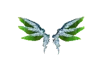 Wings of Disillusion