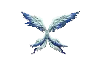 3rd Wing / Cloak