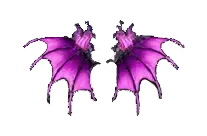 Wings of Silence