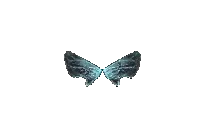 Elven Wings