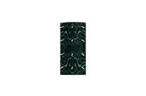 Spiked Shield