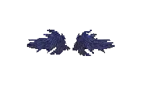 Wings of Curse