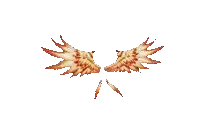 Wings of Magic