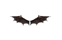 Wings of Satan